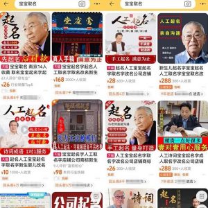 拆解小红书宝宝起名虚拟副业项目,一条龙实操玩法分享给你(教程+软件)-大兵轻创资源库