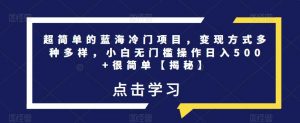 超简单的蓝海冷门项目,变现方式多种多样,小白无门槛操作日入500+很简单【揭秘】-大兵轻创资源库