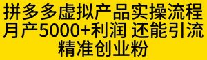 拼多多虚拟产品实操流程,月产5000+利润,还能引流精准创业粉【揭秘】-大兵轻创资源库