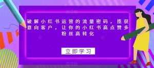 破解小红书运营的流量密码,揽获意向客户,让你的小红书高点赞多粉丝高转化-大兵轻创资源库