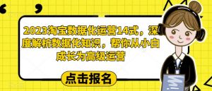 2023淘宝数据化运营14式,深度解析数据化知识,帮你从小白成长为高级运营-大兵轻创资源库