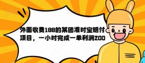 外面收费188的美团准时宝赔付项目,一小时完成一单利润200【仅揭秘】-大兵轻创资源库
