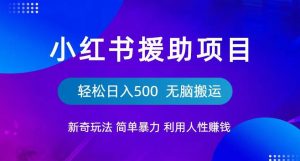 小红书援助项目新奇玩法,简单暴力,无脑搬运轻松日入500【揭秘】-大兵轻创资源库