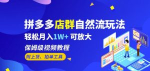 拼多多店群自然流玩法,轻松月入1W+保姆级视频教程(附上货、拍单工具)-大兵轻创资源库