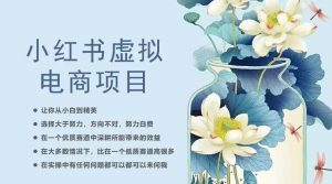 小红书虚拟电商从0到1,让你从小白到精英(20节实操课程)-大兵轻创资源库