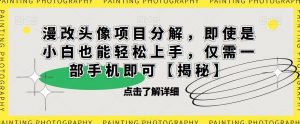漫改头像项目分解,即使是小白也能轻松上手,仅需一部手机即可【揭秘】-大兵轻创资源库