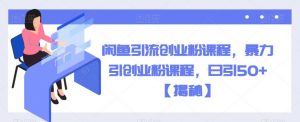 闲鱼引流创业粉课程,暴力引创业粉课程,日引50+【揭秘】-大兵轻创资源库