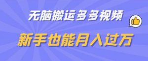 无脑搬运多多视频,新手也能月入过万【揭秘】-大兵轻创资源库