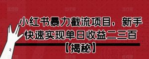 小红书暴力截流项目,新手快速实现单日收益二三百【仅揭秘】-大兵轻创资源库