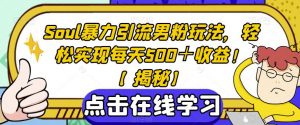 Soul暴力引流男粉玩法,轻松实现每天500+收益!【揭秘】-大兵轻创资源库