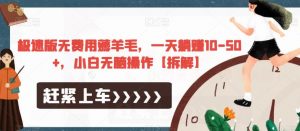 极速版无费用薅羊毛，一天躺赚10-50+，小白无脑操作【拆解】-大兵轻创资源库