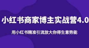 【推荐】小红书商家博主精准引流实战营4.0,用小红书放大你的生意势能-大兵轻创资源库