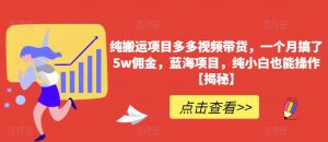 纯搬运项目多多视频带货,一个月搞了5w佣金,蓝海项目,纯小白也能操作【揭秘】-大兵轻创资源库