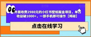 外面收费2980元的小红书壁纸掘金项目，单日收益破1000+，一部手机即可操作【揭秘】-大兵轻创资源库