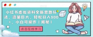小红书虚拟资料全新思路玩法，流量巨大，轻松日入300+，小白可操作【揭秘】-大兵轻创资源库