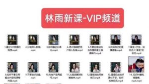 林雨新课VIP频道，玩赚私域/朋友圈/社群-大兵轻创资源库
