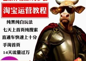 猫老师·淘系算法逆向解密,纯黑纯白玩法,七天上首页纯搜索,手淘首页14天流量过万-大兵轻创资源库