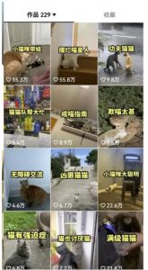 拆解抖音盘点类中视频变现副业项目，视频版一条龙大解析分享给你【视频课程】-大兵轻创资源库