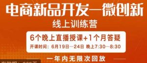 南掌柜·电商新品开发——微创新，电商新品微创新是你企业发展的护城河-大兵轻创资源库