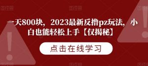 一天800块，2023最新反撸pz玩法，小白也能轻松上手【仅揭秘】-大兵轻创资源库