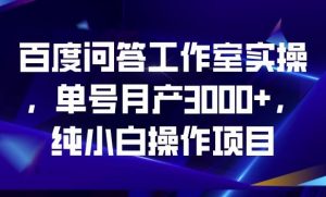 百度问答工作室实操,单号月产3000+,纯小白操作项目【揭秘】-大兵轻创资源库