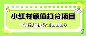 最新蓝海项目,小红书颜值打分项目,一条作品收入1000+【揭秘】-大兵轻创资源库