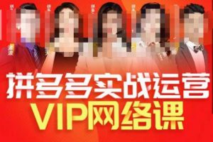 推易拼多多VIP全套直播课程,拼多多店铺实操玩法+实战玩法选款内功+直通车高阶等-大兵轻创资源库