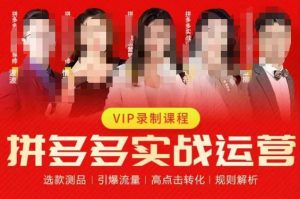 2023推易拼多多实战运营，选款测品、引爆流量、高点击转化、规则解析-大兵轻创资源库