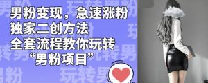 男粉变现，急速涨粉独家二创方法，全套流程教你玩转“男粉项目”【揭秘】-大兵轻创资源库
