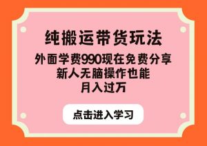 纯搬运带货玩法,外面学费990现在免费分享,新人无脑操作也能月入过万【揭秘】-大兵轻创资源库