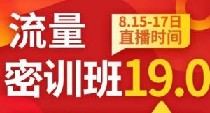 秋秋线上流量密训班19.0，打通流量关卡，线上也能实战流量破局-大兵轻创资源库