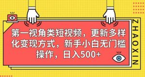 第一视角类短视频,更新多样化变现方式,新手小白无门槛操作,日入500+【揭秘】-大兵轻创资源库