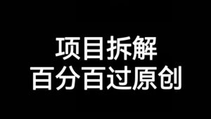 项目拆解赛道百分百过原创【揭秘】-大兵轻创资源库