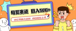 小红书育儿资料，一部手机可操作，多种变现方式，日入500+，私域变现，长期可持续项目【揭秘】-大兵轻创资源库
