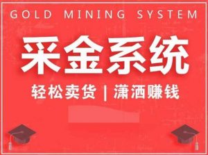 采金系统2.0,私域成交,快速成交收钱,轻松卖货,业绩暴涨,潇洒赚钱-大兵轻创资源库