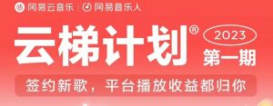 2023年8月份网易云最新独家挂机技术，真正实现挂机月入5000【揭秘】-大兵轻创资源库
