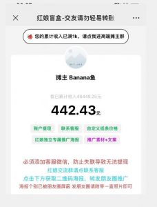 盲盒交友5.0,男粉变现实操项目,亲测变现效果极好【揭秘】-大兵轻创资源库
