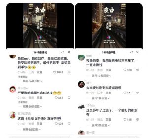 副业拆解：抖音杰伦音乐号涨粉变现项目，视频版一条龙实操玩法分享给你-大兵轻创资源库