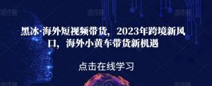 黑冰·海外短视频带货,2023年跨境新风口,海外小黄车带货新机遇-大兵轻创资源库