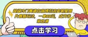 超级冷门赛道在微博引流卖明星图片最新玩法,一单88元,成交非常丝滑【揭秘】-大兵轻创资源库