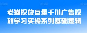 老猫投放巨量千川广告投放学习实操系列基础逻辑-大兵轻创资源库