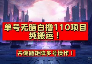 9月全网首发，单号直接白撸110！可多号操作，无脑搬运复制粘贴【揭秘】-大兵轻创资源库