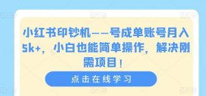 小红书印钞机——号成单账号月入5k+,小白也能简单操作,解决刚需项目【揭秘】-大兵轻创资源库