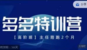 纪主任·多多特训营高阶班【9月13日更新】,拼多多最新玩法技巧落地实操-大兵轻创资源库