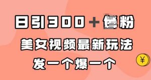 日引300+男粉,美女视频最新玩法,发一个爆一个【揭秘】-大兵轻创资源库