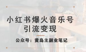 小红书爆火音乐号引流变现项目,视频版一条龙实操玩法分享给你-大兵轻创资源库