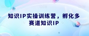 知识IP实操训练营，​孵化多赛道知识IP-大兵轻创资源库