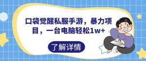 口袋觉醒私服手游,暴力项目,一台电脑轻松1w+【揭秘】-大兵轻创资源库