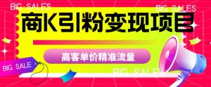 商K引粉变现项目，高客单价精准流量【揭秘】-大兵轻创资源库