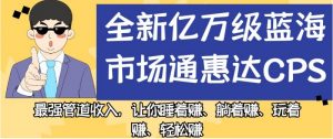 全新亿万级蓝海市场通惠达cps,最强管道收入,让你睡着赚、躺着赚、玩着赚、轻松赚【揭秘】-大兵轻创资源库